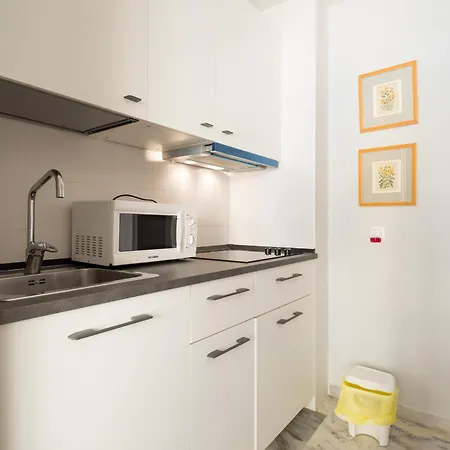 Malagueta Beach & Center Apartment
